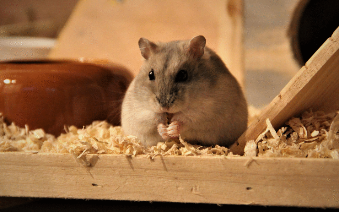 Does My Exotic Pet Need Annual Veterinary Care?