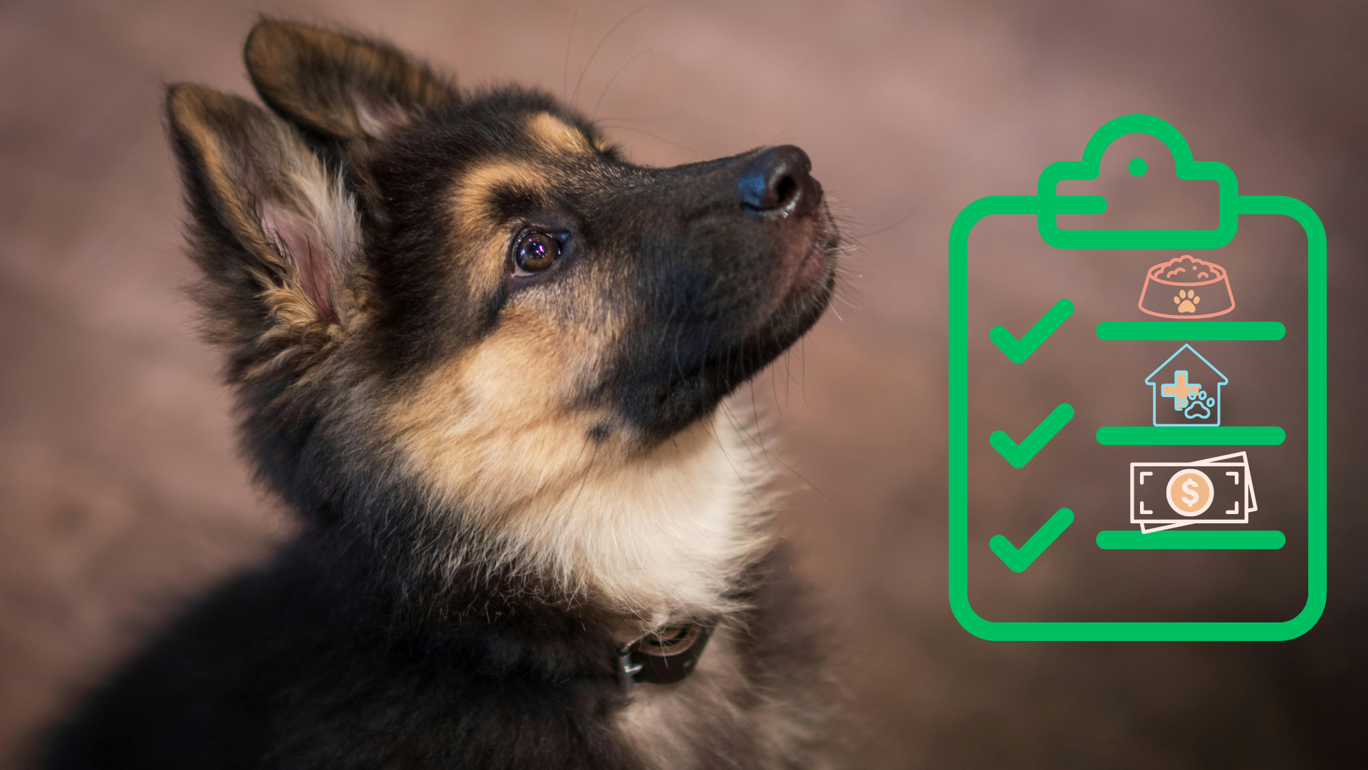 New Pet Preparation Checklist from Greenbrier Animal Clinic Puppy with a preparation checklist for new pet owners in Anniston, AL
