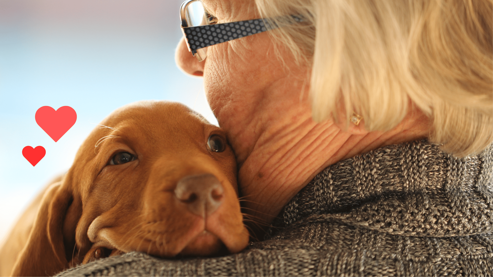 New puppy bonding with an owner as part of new pet preparation with Greenbrier Animal Clinic in Anniston, AL